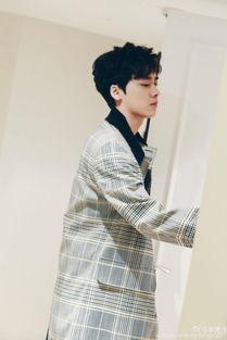 吃瓜星娱乐李易峰,吃瓜星娱乐中的璀璨明星